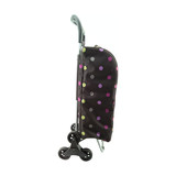 Multifunctional shopping trolley