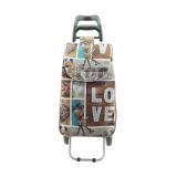 Normal style shopping trolley
