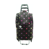 Multifunctional shopping trolley