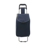 Normal style shopping trolley
