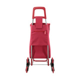 Multifunctional shopping trolley