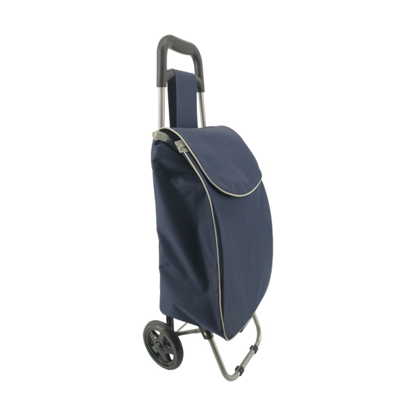 Normal style shopping trolley ELD-C301-1