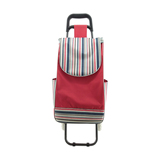 Normal style shopping trolley