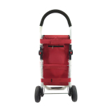 2019 Newest Shopping trolley