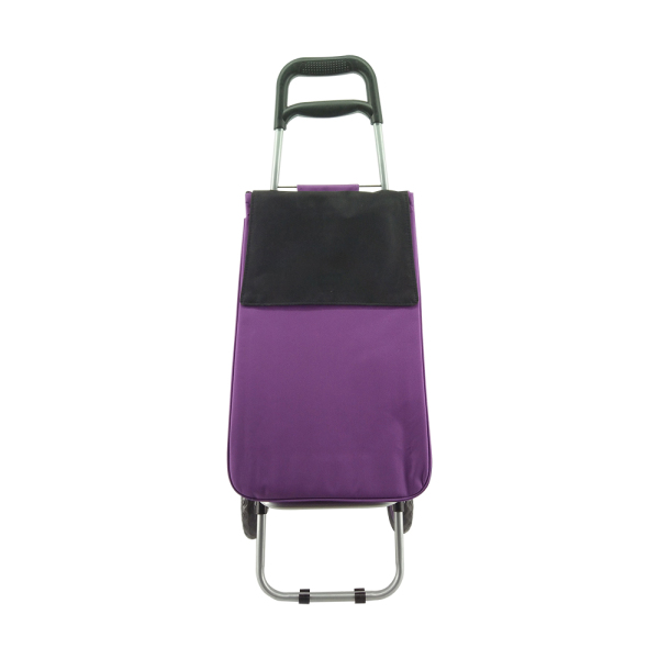 Normal style shopping trolley ELD-C204-1