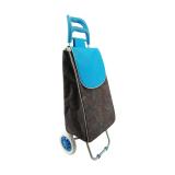 Normal style shopping trolley