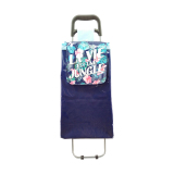 Normal style shopping trolley