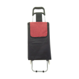 Normal style shopping trolley