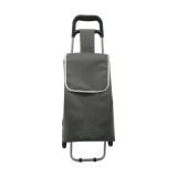 Normal style shopping trolley