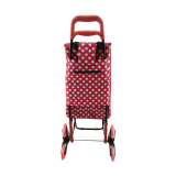 Climbing stairs shopping trolley