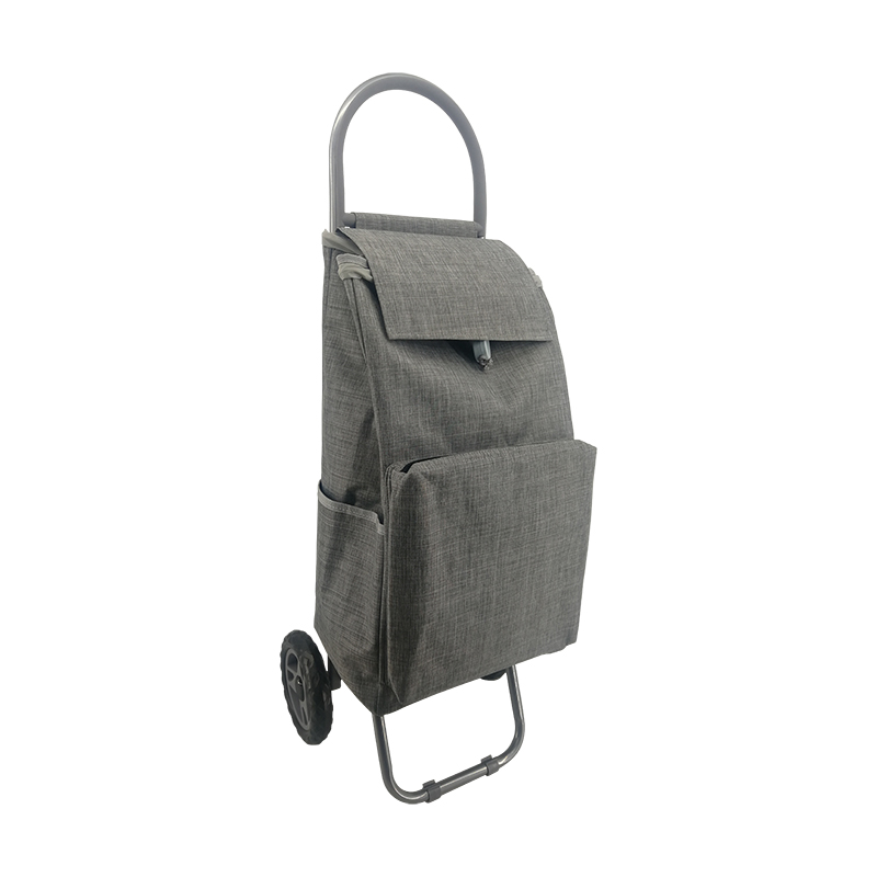 The extra pocket  shopping trolley