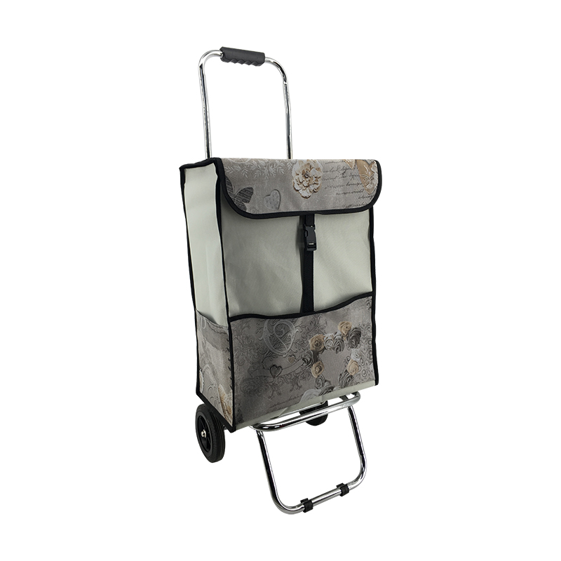 2019 Newest Shopping trolley