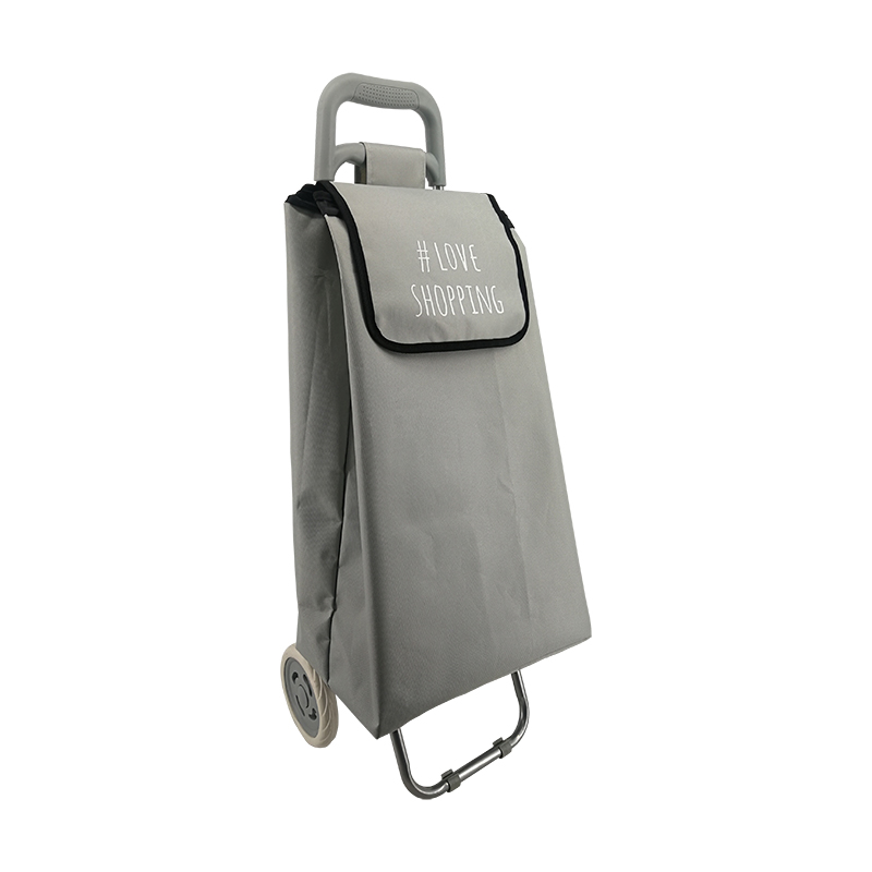 Normal style shopping trolley