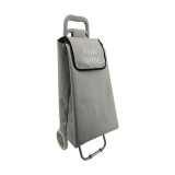 Normal style shopping trolley