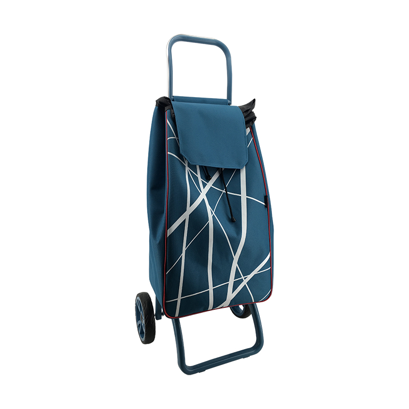 2019 Newest Shopping trolley