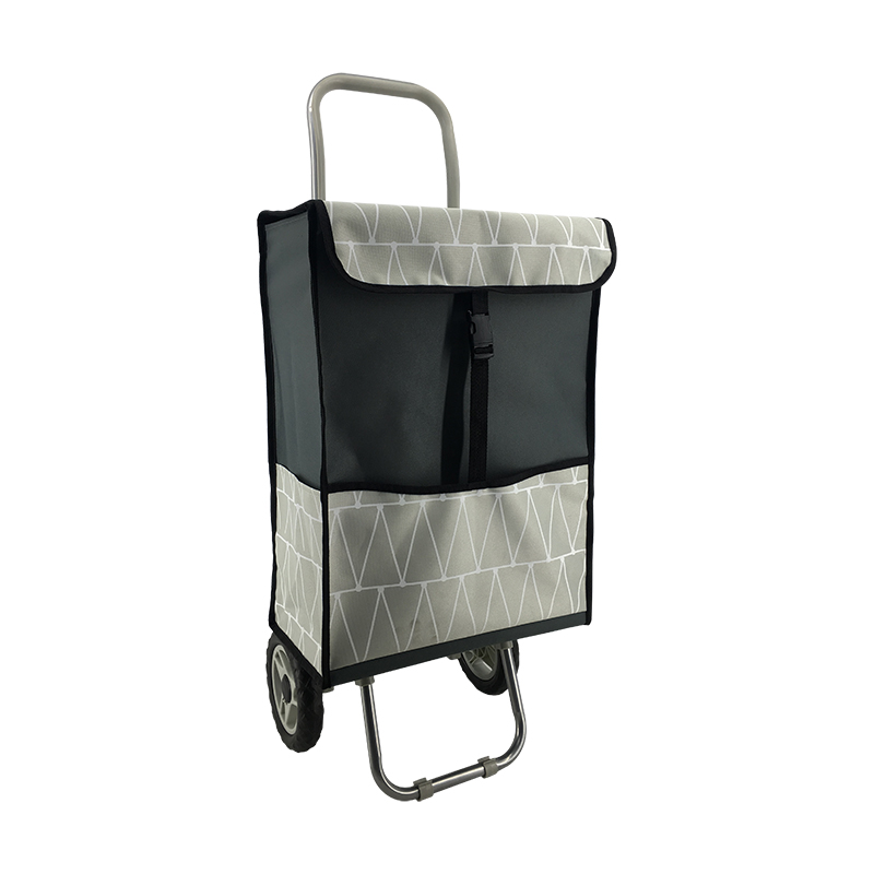 2019 Newest Shopping trolley