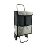 2019 Newest Shopping trolley