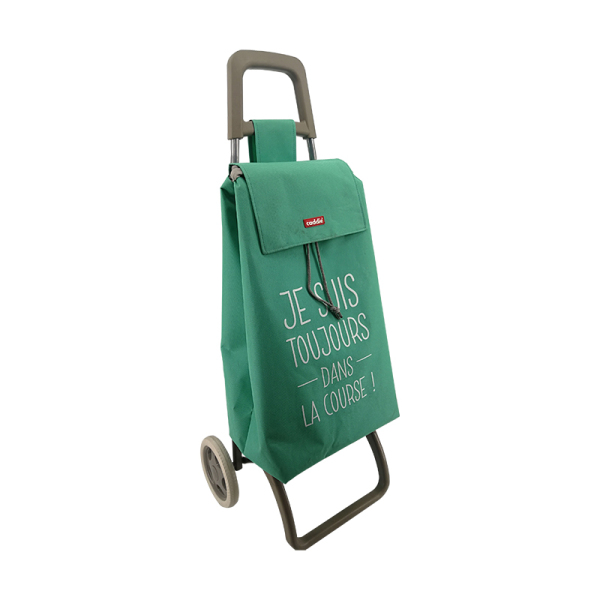 Normal style shopping trolley ELD-C204-10