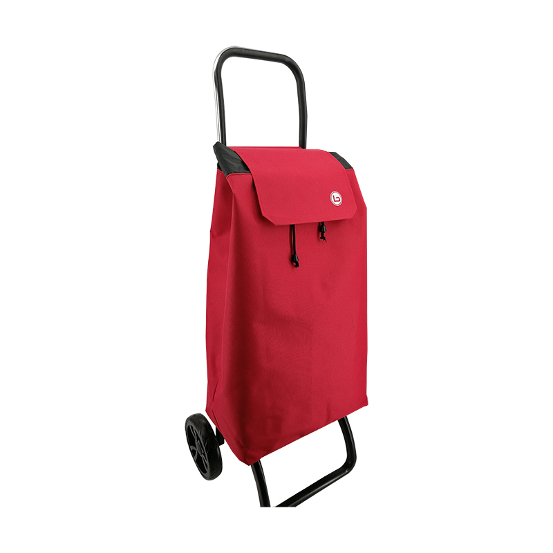 2019 Newest Shopping trolley