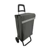 Normal style shopping trolley