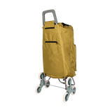 Climbing stairs shopping trolley
