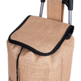 Normal style shopping trolley