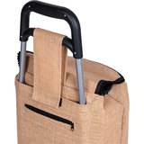 Normal style shopping trolley