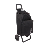 Cooler bag shopping trolley