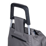 Climbing stairs shopping trolley