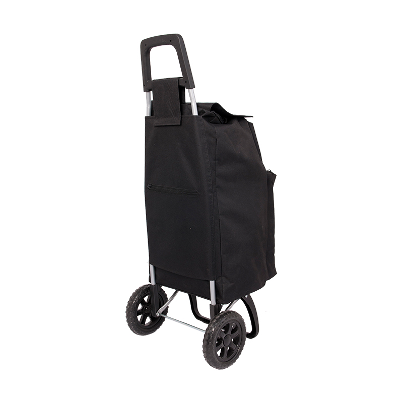 Cooler bag shopping trolley
