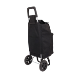 Cooler bag shopping trolley