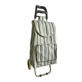 Normal style shopping trolley