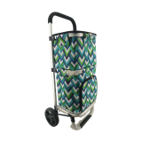2019 Newest Shopping trolley