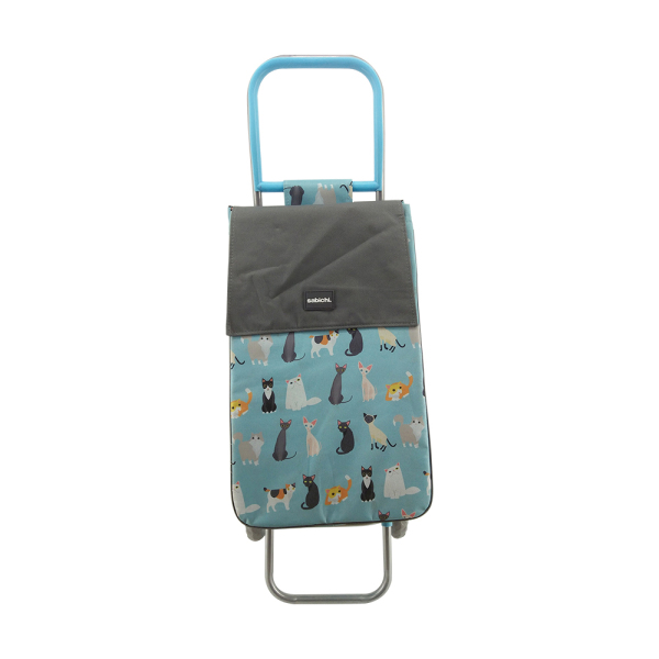 Normal style shopping trolley ELD-S401-5