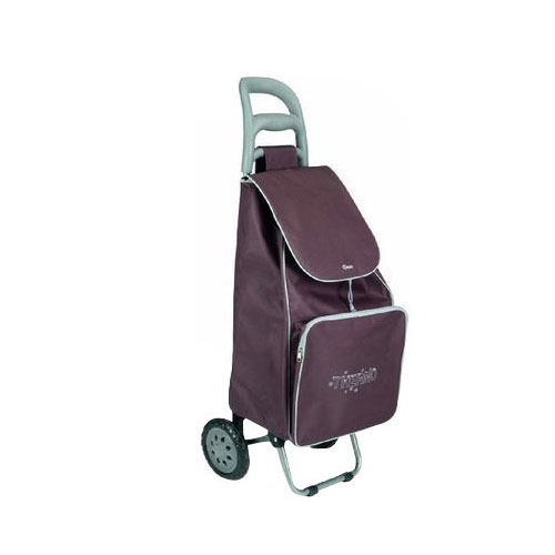 Normal style shopping trolley ELD-B201-22