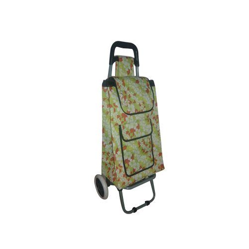 Normal style shopping trolley ELD-C301-30