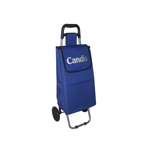 Normal style shopping trolley ELD-C301-28