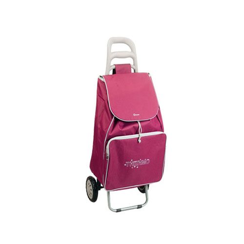 Normal style shopping trolley ELD-B201-25