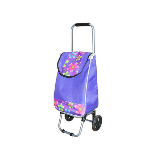 Normal style shopping trolley ELD-G108