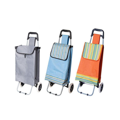 Normal style shopping trolley ELD-C301-21