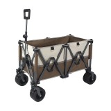 Wagon (Middle)