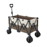 Wagon (Middle)