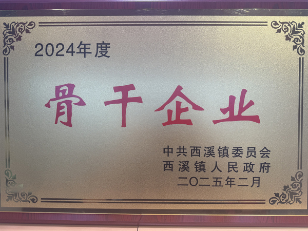 2024年度骨干企业