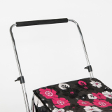 Shopping trolley