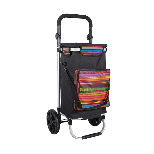 Shopping trolley ELD-L107-6