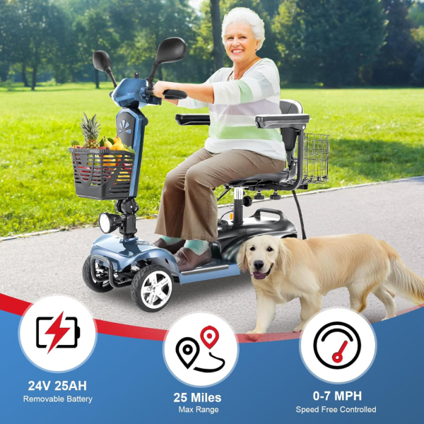 Folding Mobility Scooter 25Miles-EV02 Pro with Mirror