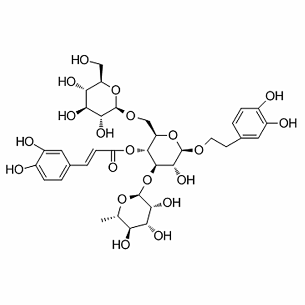 Echinacoside 82854-37-3