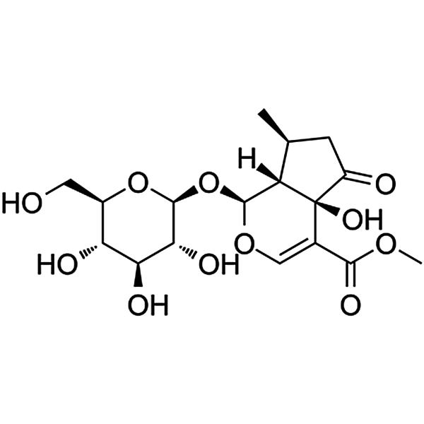 戟叶马鞭草苷