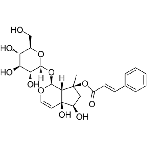 Harpagide  6926-08-5