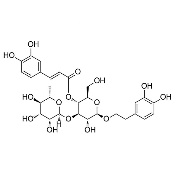 Acteoside 61276-17-3